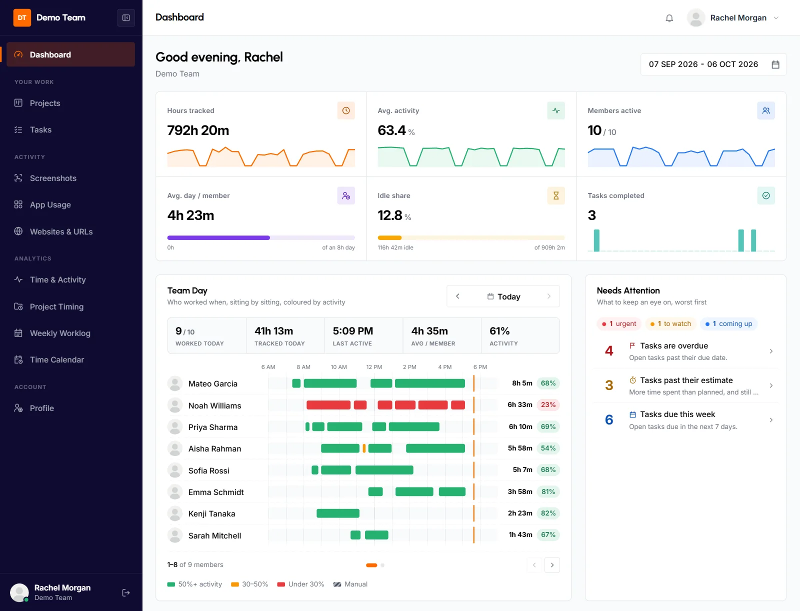 Client portal Dashboard with key figure tiles, the Team Day timeline and the Needs Attention card